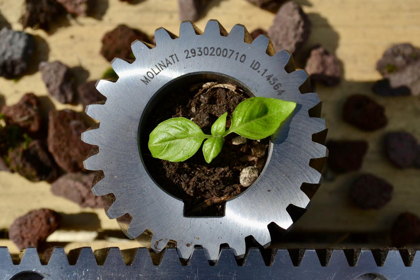 Environmental sustainability